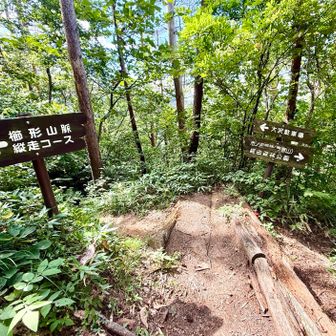 要害山への分岐、要害山まで行って見ます