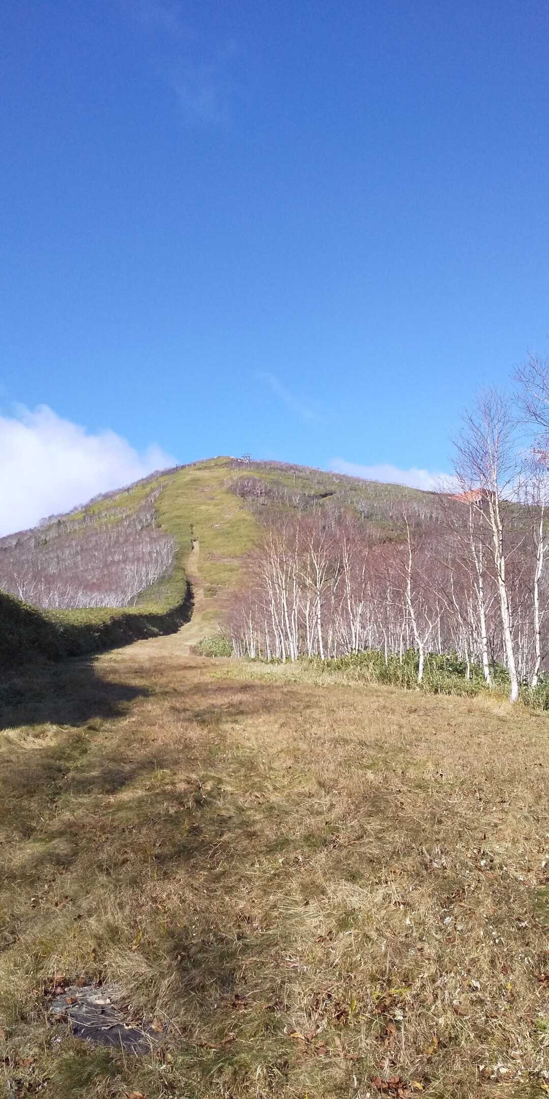 佐幌岳の写真