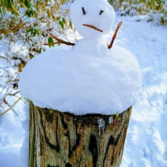 山歩同好会_satoshi👣