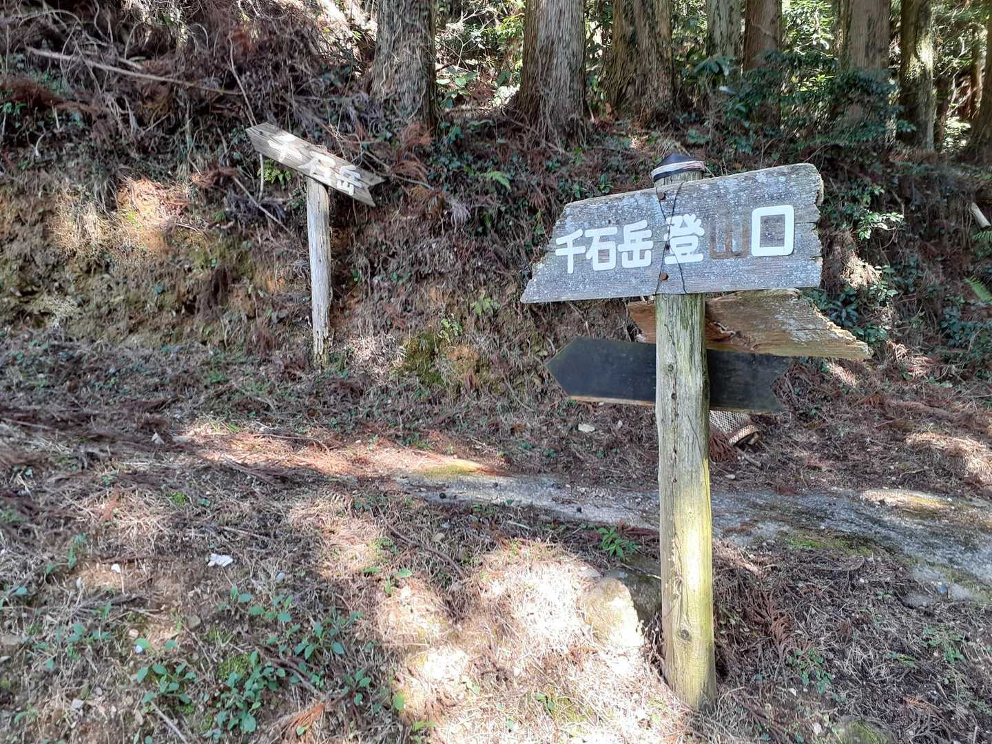 林道に出る。