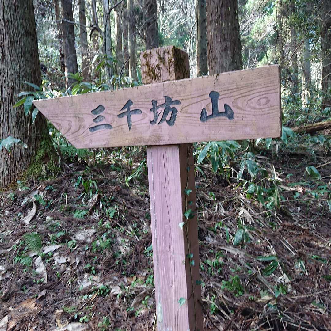 次の看板
