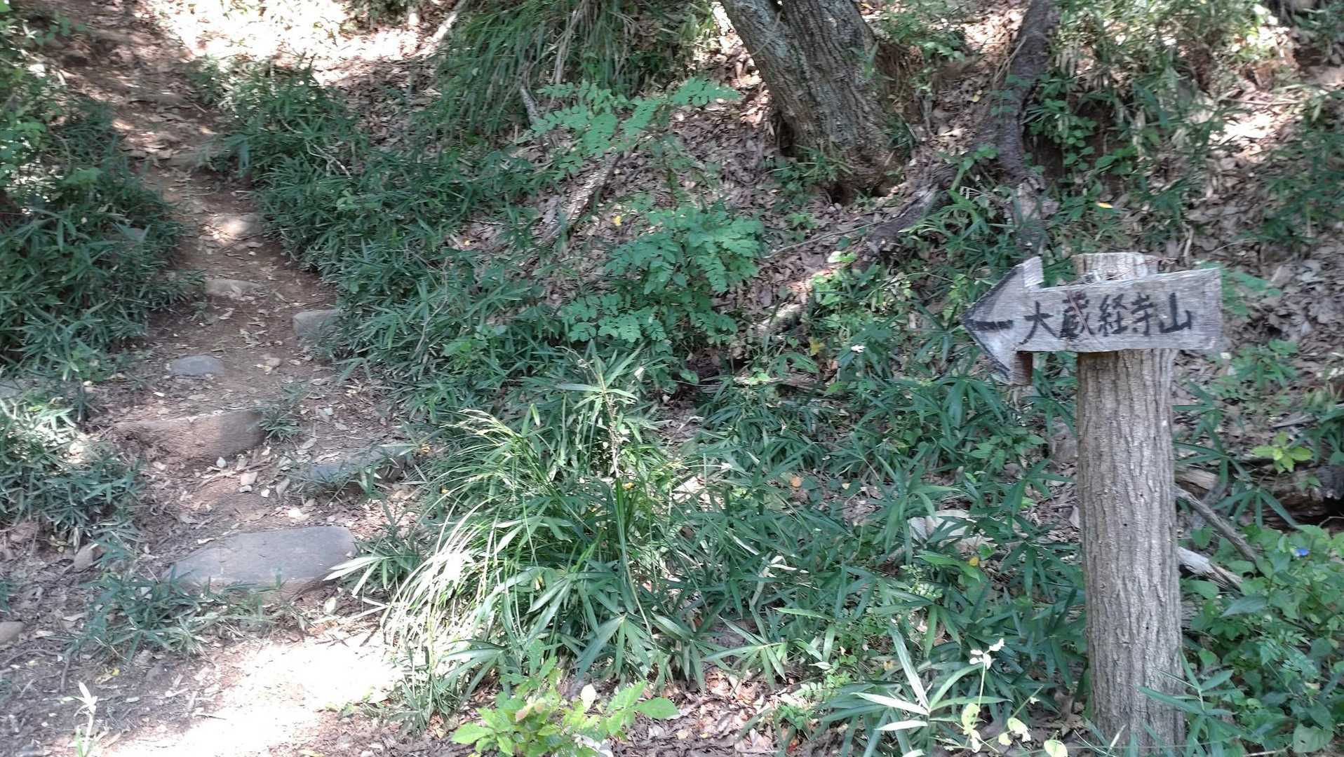 ここまで来るのに全身汗びっしょり。
しっかり休んで山頂を目指します。