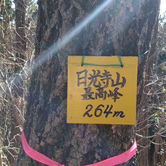日光寺山最高峰