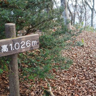 標高１０２６ｍ