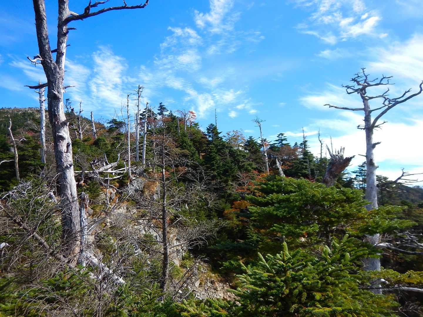 細尾山 周回コースの写真