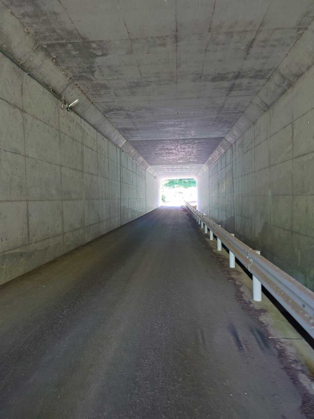 スタートから直ぐに中部縦貫自動車道の下をくぐります