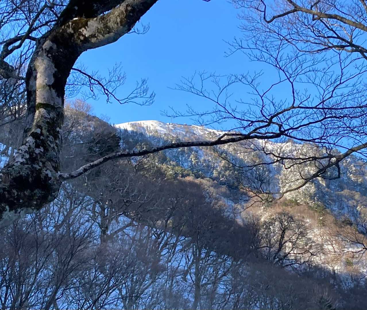 一ノ森山頂が見えます。真っ白です。