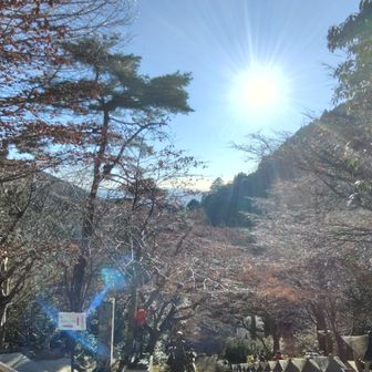 晴天なり！
いつもの時間（朝8時頃）に大山ケーブルバス停から登り始めます