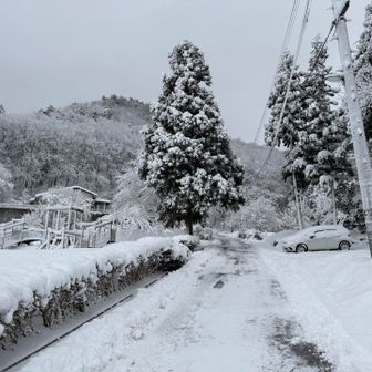 来た時は除雪されておらずこの坂すら私の2躯は上がれなかった
クルマの位置が本来の駐車場🅿️です