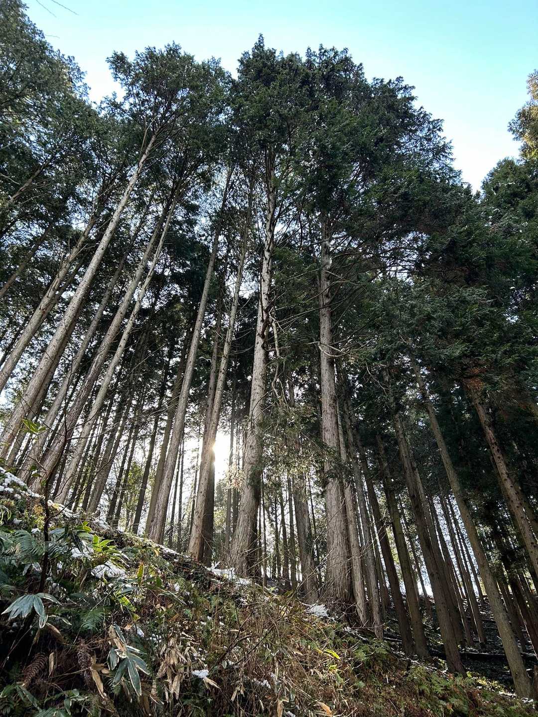 降り駐車場へ