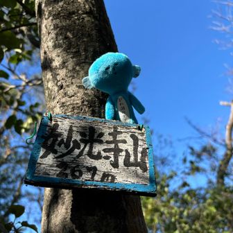 妙光寺山、登頂〜✨
ここまでの途中に磨崖仏への降りがありましたが
寄りませんでした。
見たかったなー
滋賀は割と磨崖仏が多い。