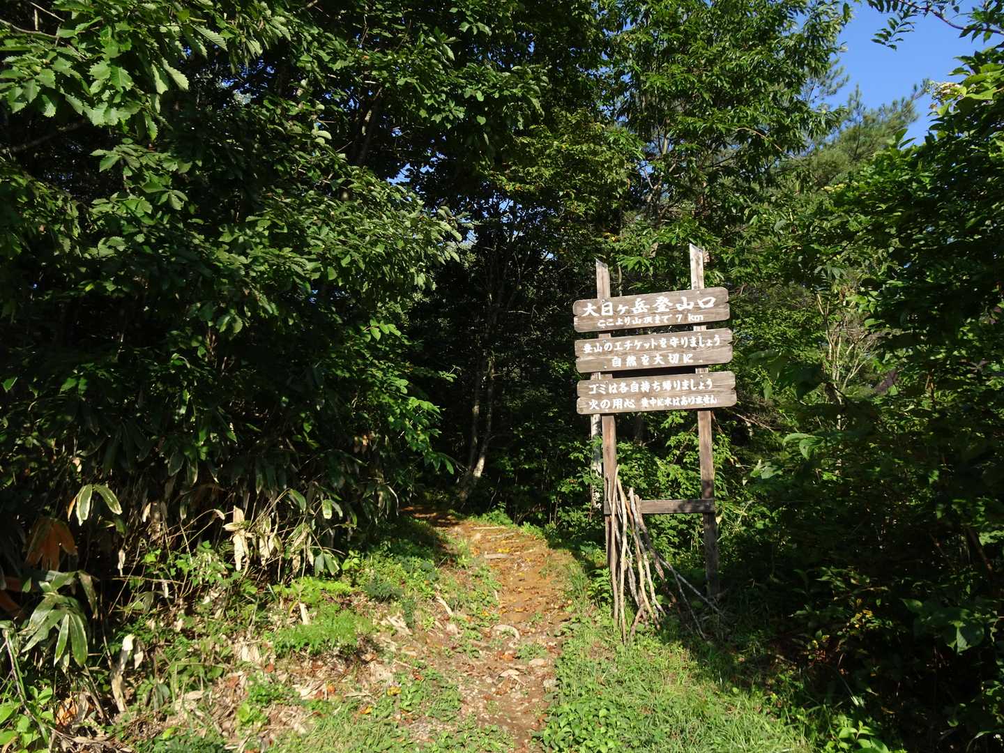 ひるがの登山口からスタート▶️
