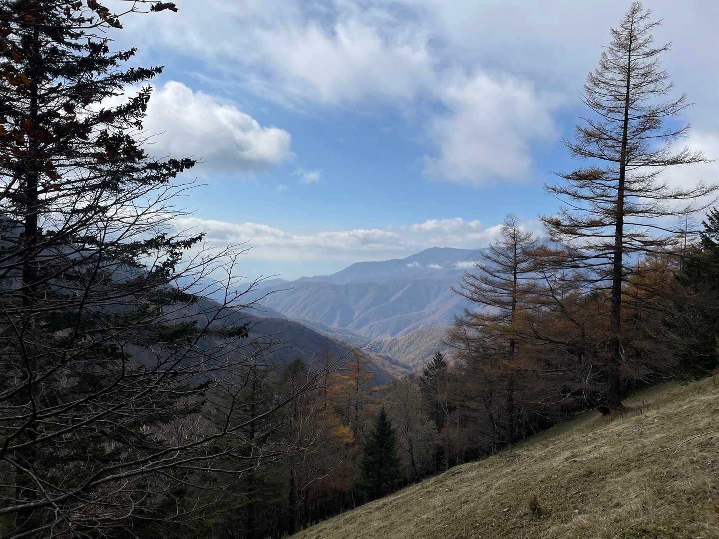 雁坂峠-雁坂嶺 往復コースの写真