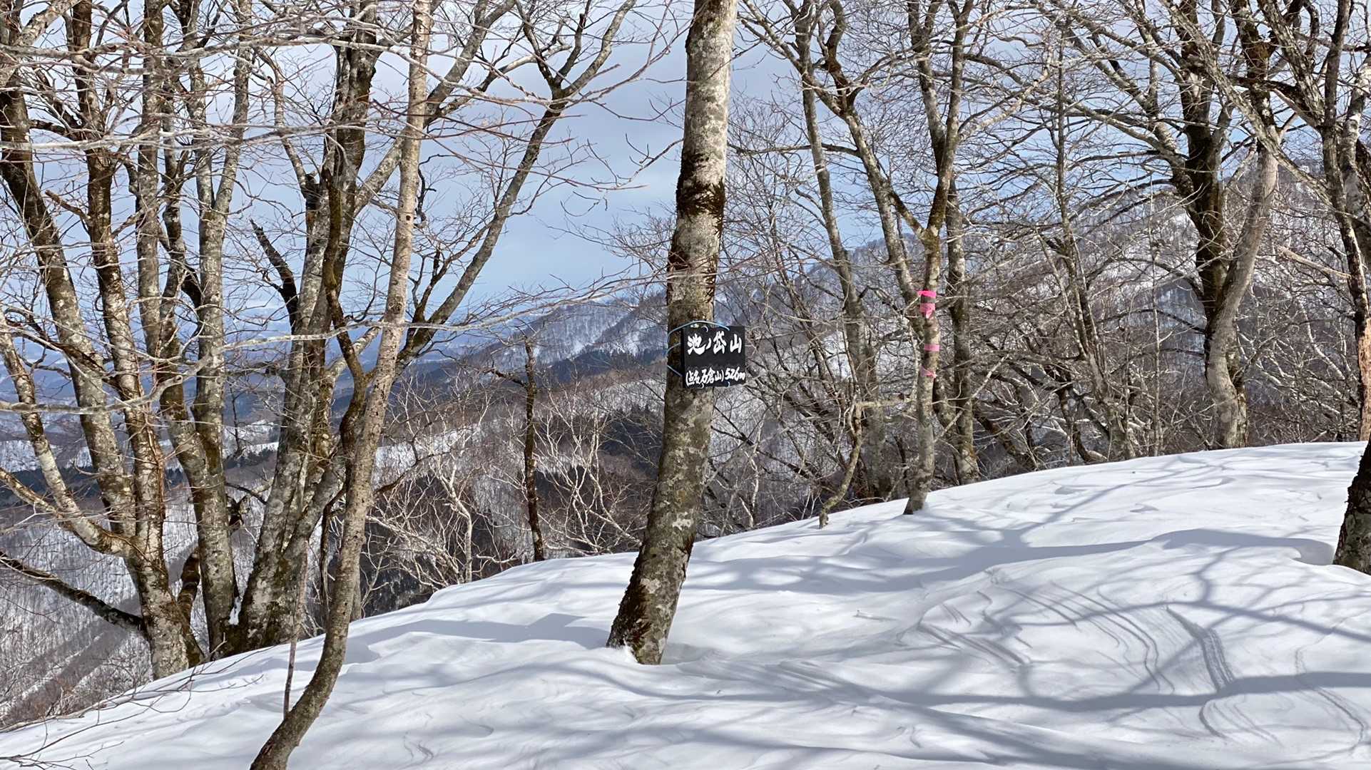 池ノ岱山の写真