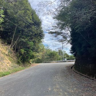 ここを左で、登山道です🤗