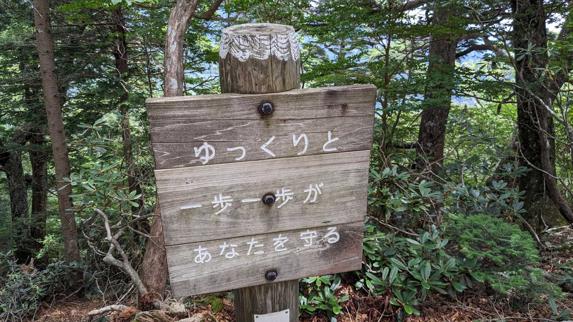 ゆっくりでエエか？
と思えてくる