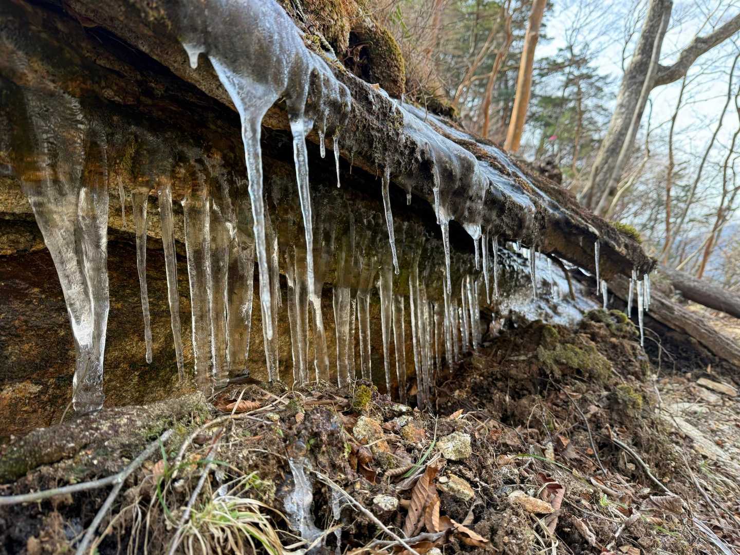 鬼の目山登山口-鬼の目山-鉾岳 往復コースの写真