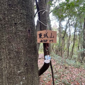 このまま真っ直ぐ抜けて地図の点線を頼りに抜けようかとも進んだけど、明確な道ではなかったので元の道をもどる。城跡らしい地形をした山頂付近