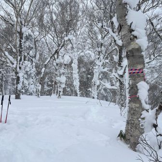 あたりは樹林帯で眺めはない
立ったまま簡単に食べてすぐ戻る