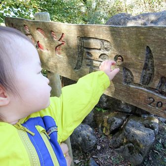 11ヶ月で屏山デビュー🎉

ちなみに、その子🦉もパパが作ったヤツよ🤭