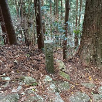 一丁。見逃していた。