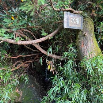 翁岳直下の水場で水分補給。
陽射しがキツいので、助かります！😊