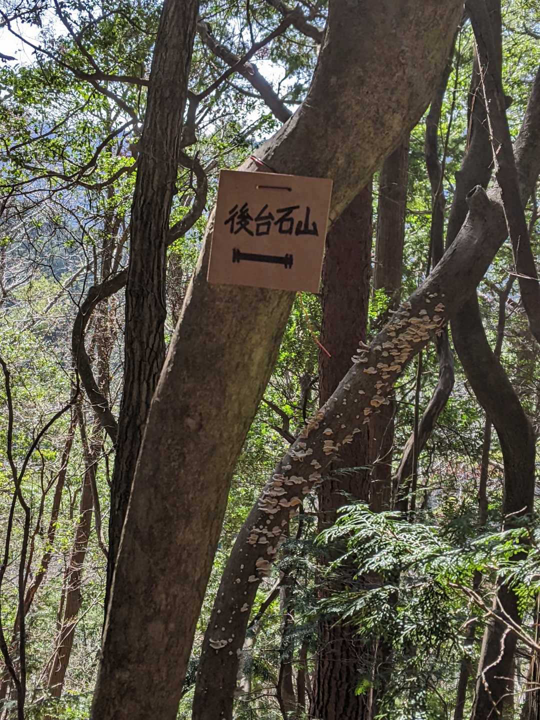 後台石山