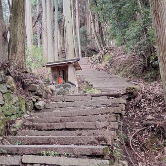 石段の段差が低いので歩き易いのですが、蒸し暑く早くも汗ダクです😓