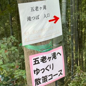 わくわくです😄