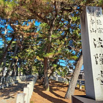 振り返って、The｢法隆寺｣⤴