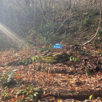 表示もわかりやすいです♪