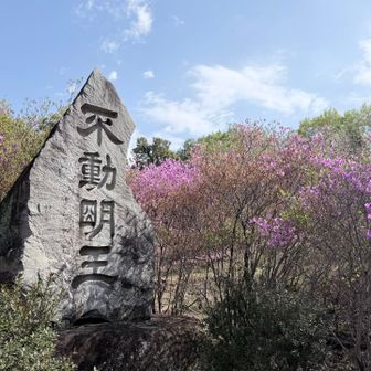 何がなんだか…