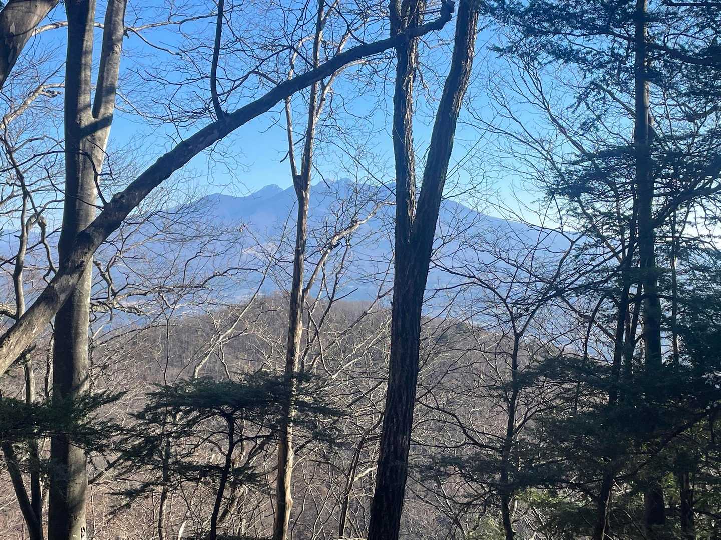 ニセ八ヶ岳こと茅ヶ岳⛰️