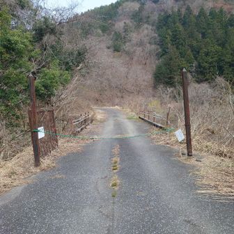 ありがとうございました。