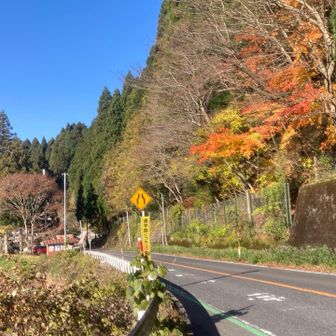 麓に下山しました。まだ紅葉🍁しています。