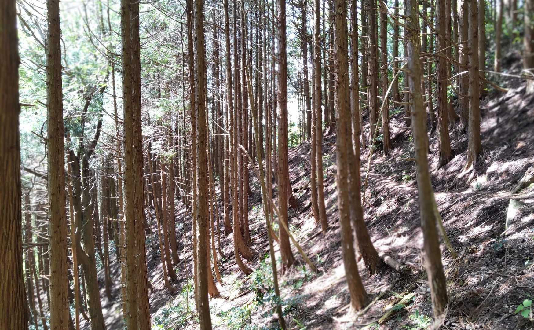 明るい…

