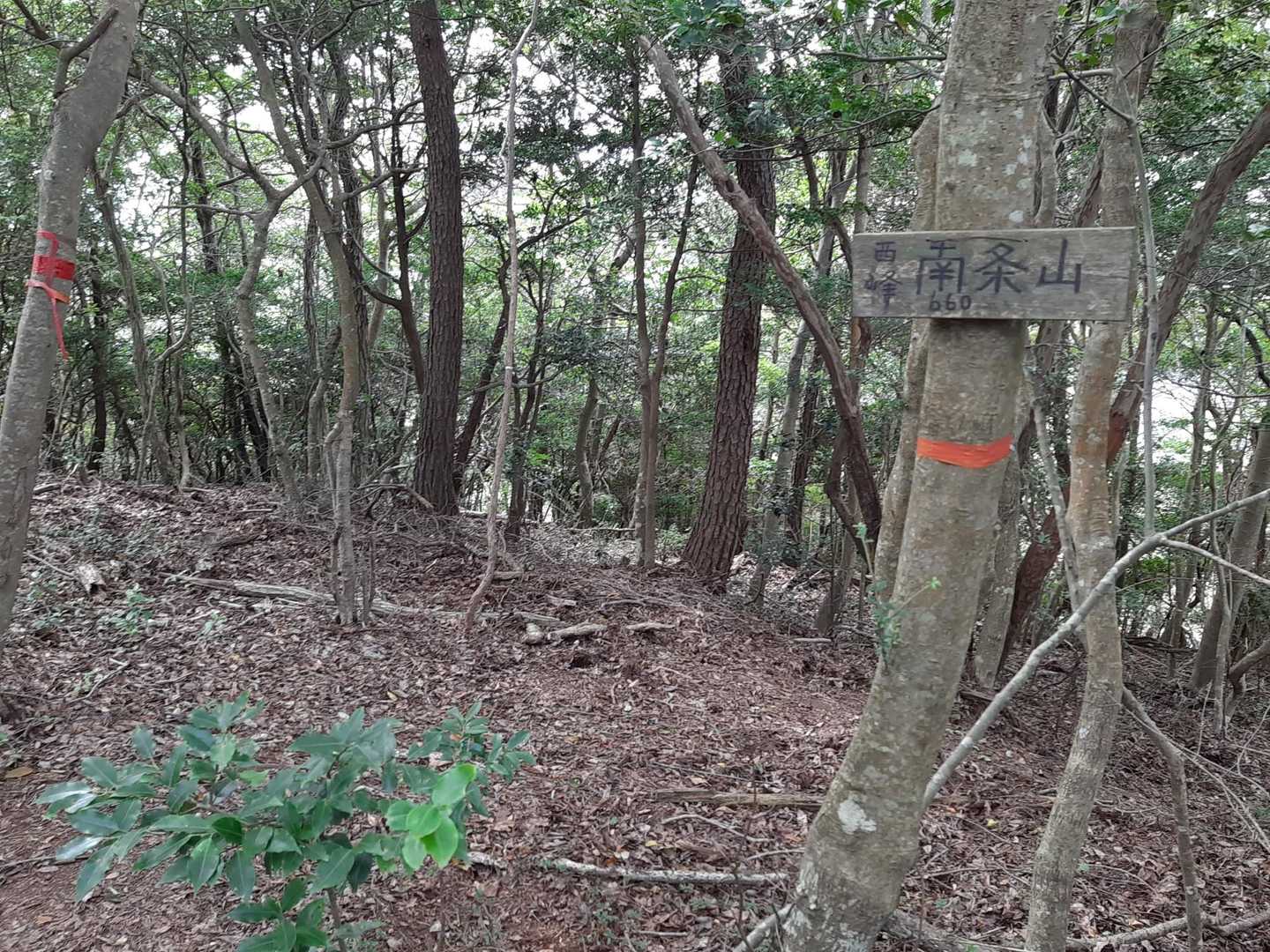 山頂