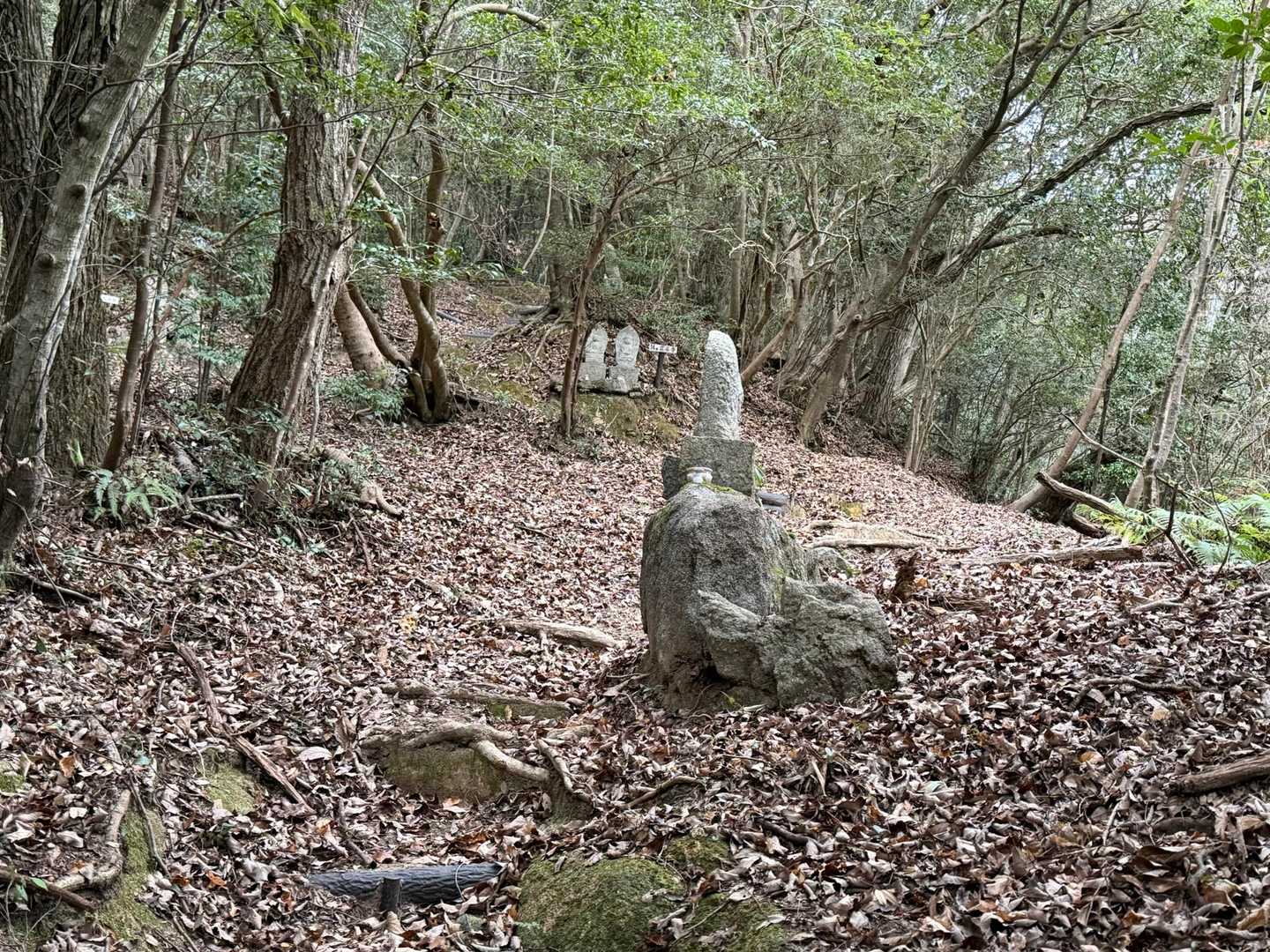 湯野観音岳登山口-湯野観音岳 周回コースの写真