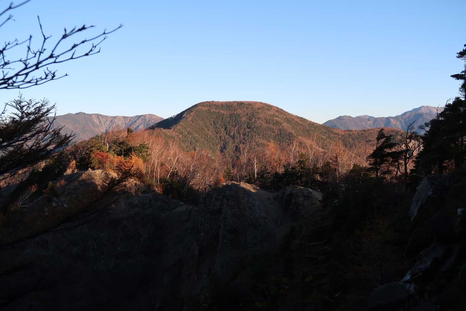 大根沢山