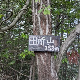 田所山到着し、本日の目的達成。