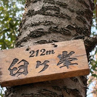 なんとなく登山道があり辿って臼ヶ峯へ