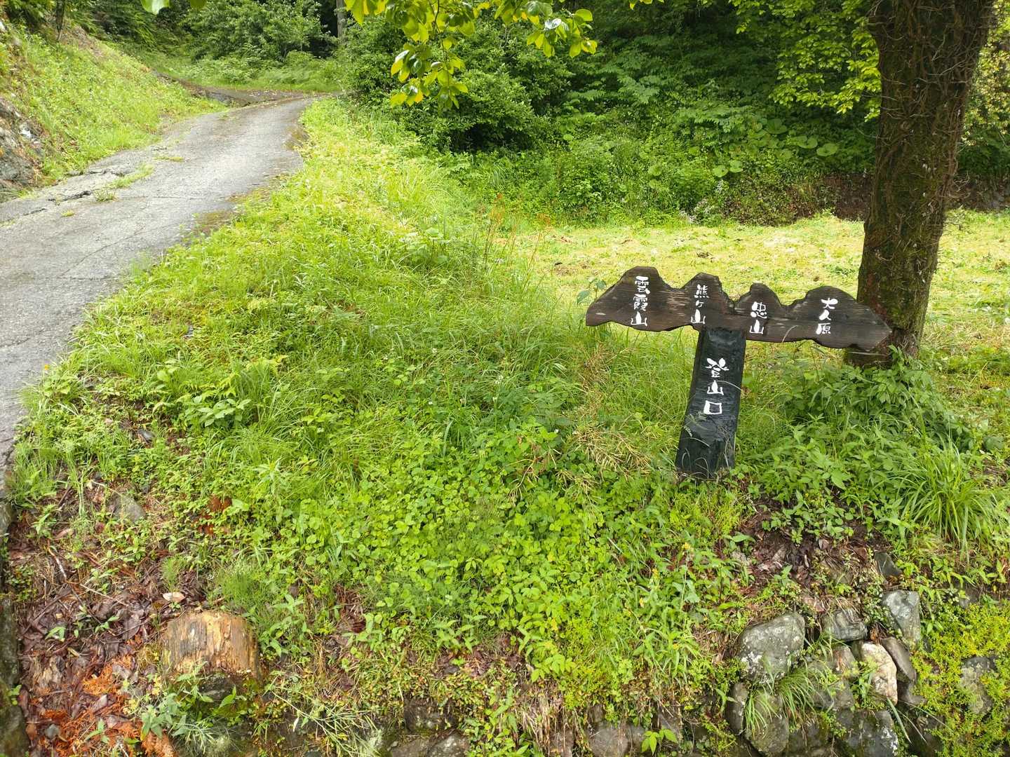 登山口
左の道を進みます
