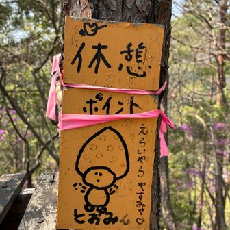 えらいやら　やすみゃ♡
優しい岐阜弁。