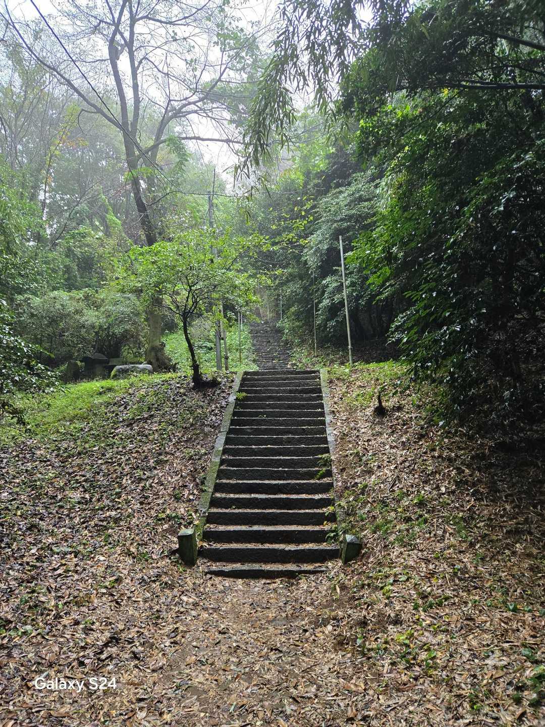 十二山-十二山登山口 往復コースの写真