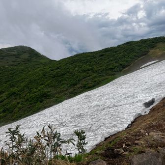 雪渓