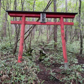 幾度かの鳥居を潜って