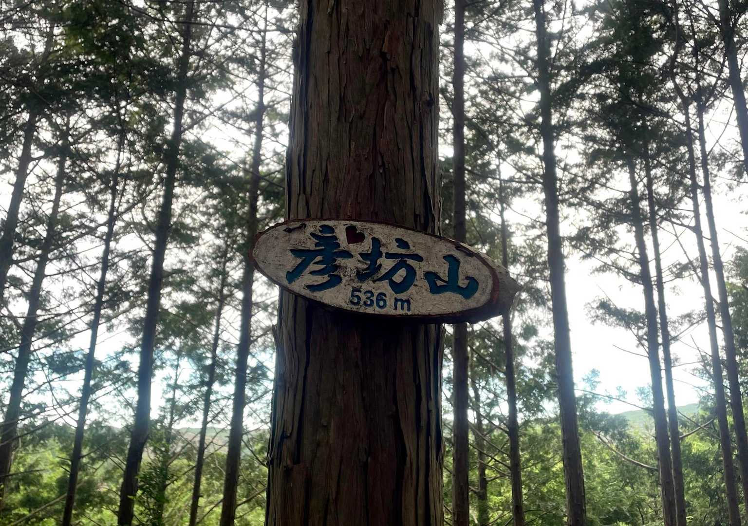 はい、山頂です♪眺望はありません😅