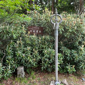 行者還岳 初登頂✌️

関西百名山 73座目