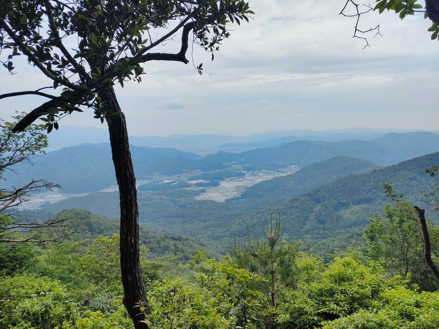 金輪寺-半国山-牛つなぎ広場 周回コースの写真