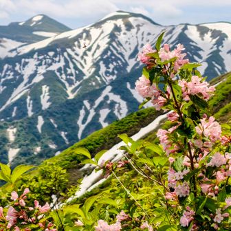 西朝日岳と大朝日岳